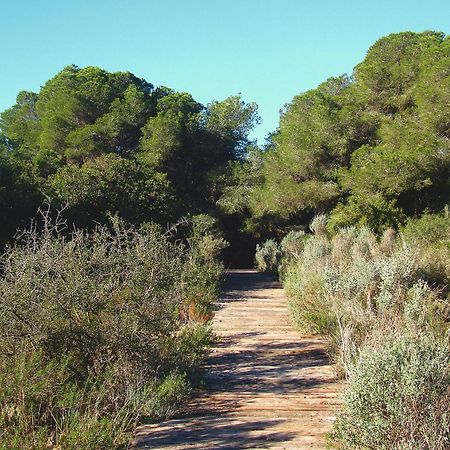 ולנסיה Albufera Dreams Nature Suites מראה חיצוני תמונה