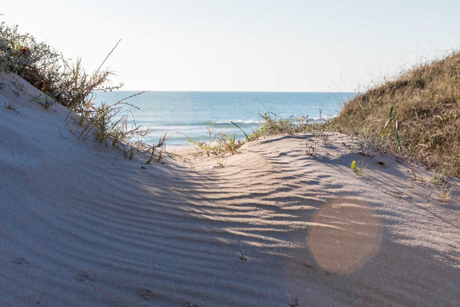 ולנסיה Albufera Dreams Nature Suites מראה חיצוני תמונה